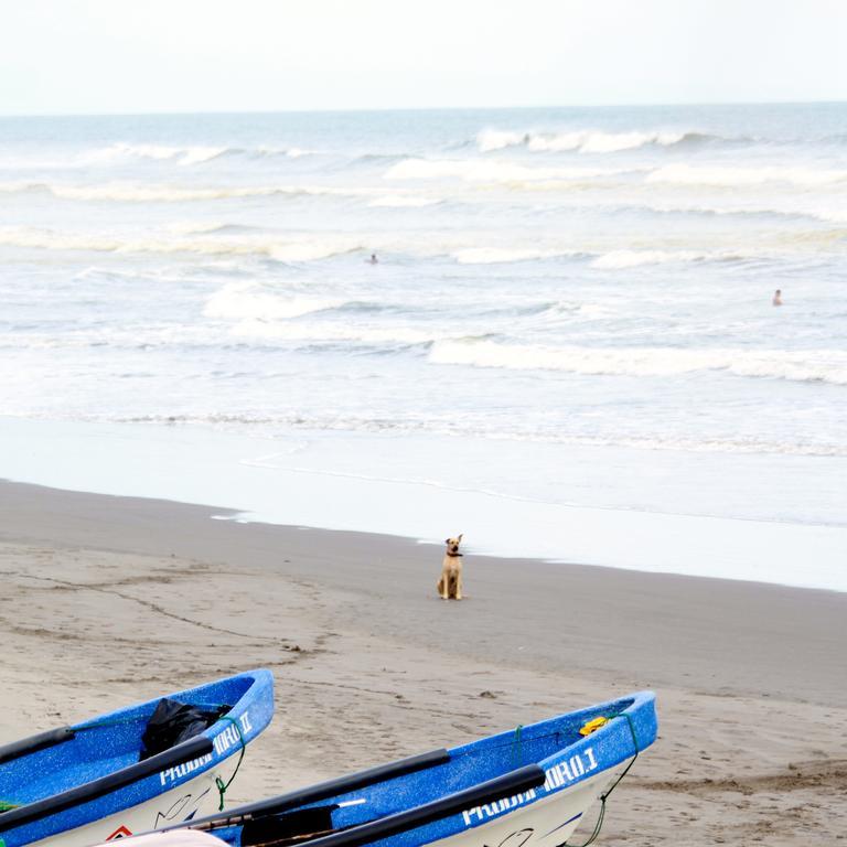 Azul Surf Club Otel El Cuco Dış mekan fotoğraf